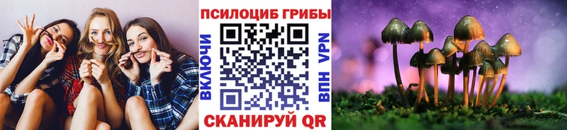 Галлюциногенные грибы прущие грибы  Ялта 